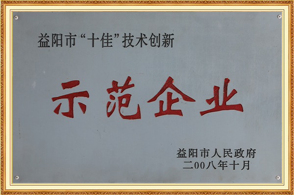 榮獲益陽市“十佳”技術(shù)創(chuàng)新示范企業(yè)2008年10月