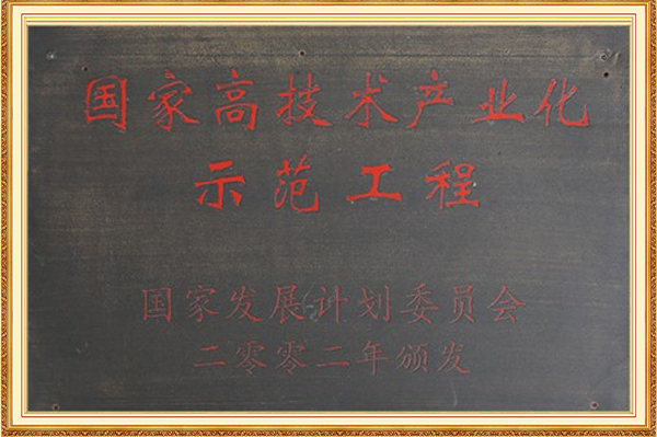 國家高技術(shù)產(chǎn)業(yè)化示范工程2002年